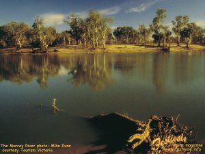 free Festivale wallpaper Murray River by Mike Dunn; 300x225