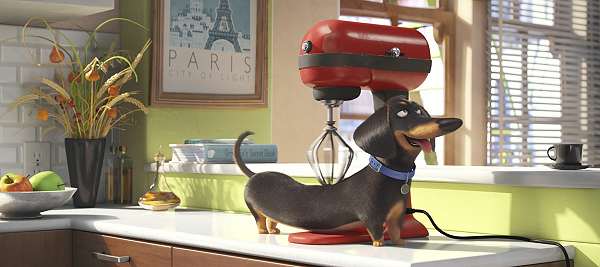 movie still, The Secret Life of Pets, Festivale film review page; 600x267