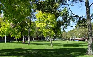 Batman Park, from Spencer Street, Melbourne, Victoria. Photograph (c) by Ali Kayn, 2005