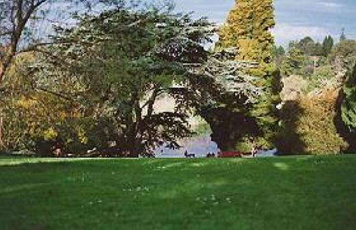 View, Royal Botanic Gardens, Melbourne, Australia