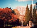 Flagstaff Gardens, Melbourne, Victoria, Australia