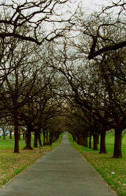 Fawkner Park, South Yarra, Melbourne, Victoria, Australia