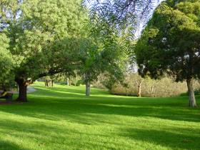 Oldis Park lawn, photograph (c) Ali Kayn 2005