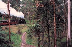 Puffing Billy, Dandenong Ranges