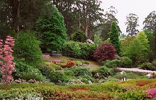 National Rhododendron Gardens