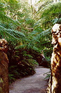 Path amongst the trees and statuary, William Ricketts Sanctuary, photograph (c) Ali Kayn 1996