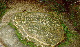 kiln fired clay sculpture, William Ricketts Sanctuary, photograph (c) Ali Kayn 1996