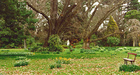 West Lawn, Rippon Lea, Melbourne, Victoria, Australia; Festivale pictorial guide; rippon_westlawn.jpg - 137815 Bytes