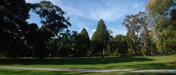 Photograph, Saint Kilda Botanical Gardens, 2010, copyright Ali Kayn; 485x232