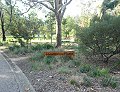 St Kilda Botanical Gardens; 120x92
