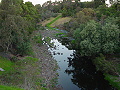 Merri Creek, Yarra Bend Park, Victoria, Australia photgraph (c) 2005 Ali Kayn