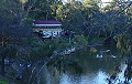 yarra bend park