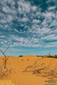 Perry Sand Hills, Festivale free calendar; 200x300