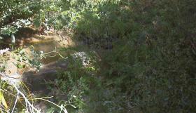 daylesford_stream.jpg - 11732 Bytes