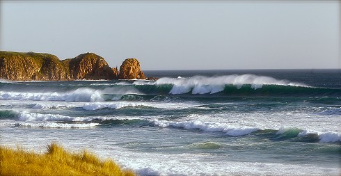 Beach at Phillip Island, 2012 by Destination Phillip Island, courtesy Tourism Victoria; 490x253