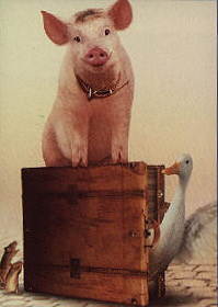 Movie Still, Babe: Pig in the City, Festivale film reviews section; babeinthecity.jpg - 9121 Bytes